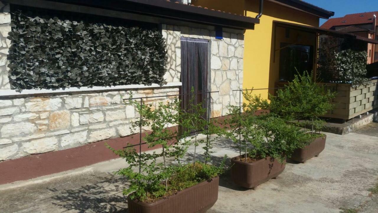 Apartments Ingrid Novigrad  Exterior photo